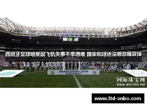 西班牙足球明星因飞机失事不幸遇难 国家和球迷深感悲痛哀悼