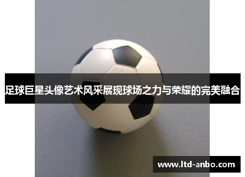 足球巨星头像艺术风采展现球场之力与荣耀的完美融合