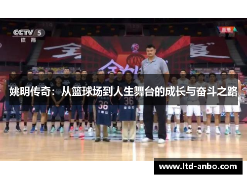 姚明传奇：从篮球场到人生舞台的成长与奋斗之路