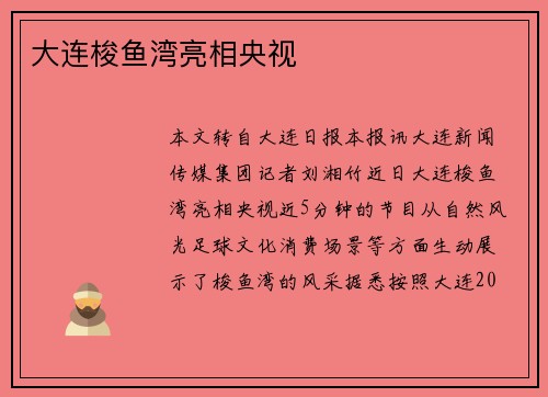 大连梭鱼湾亮相央视